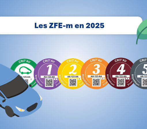 Logo ZFE