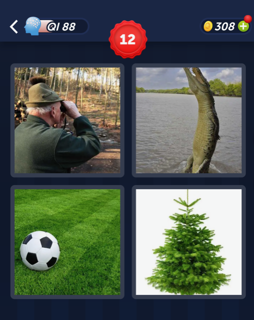 4 images 1 mot VERT