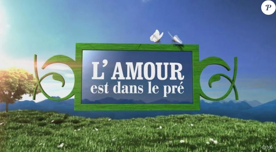 Logo l amour est dans le pré